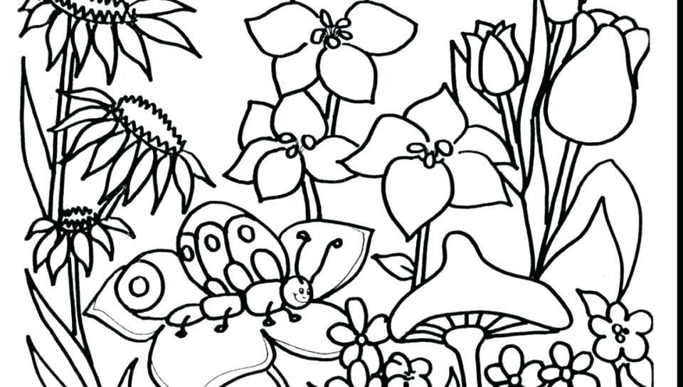 960x544 Coloring Pages Of Flowers Also Flower Garden Coloring Page Story