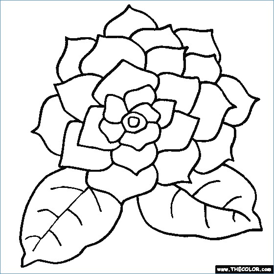 Flower Coloring Pages Printable 560x560 Flower Coloring Pages Printable