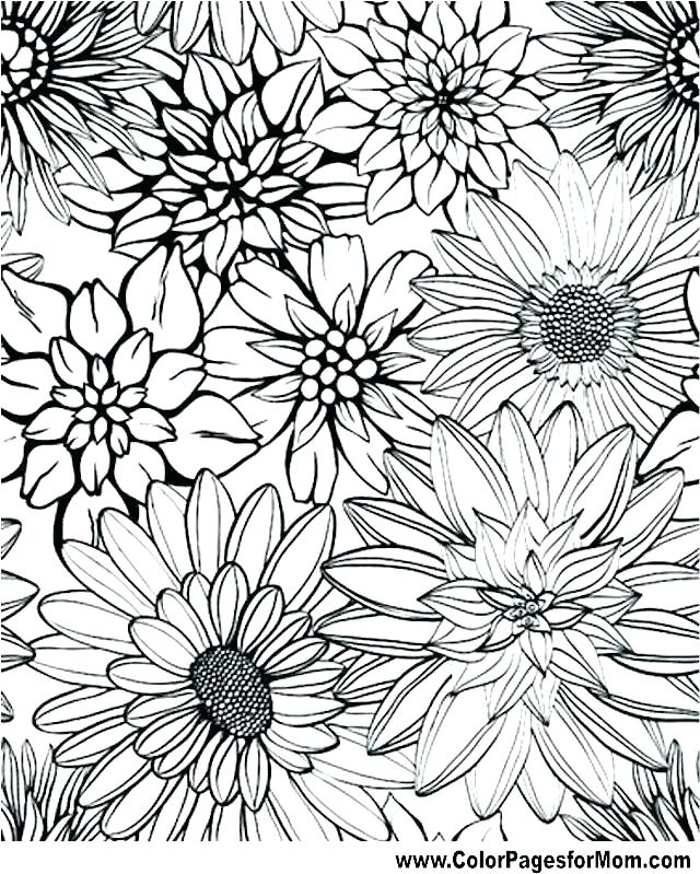 Easy Printable Flower Coloring Pages 640x799 Easy Printable Flower Coloring Pages
