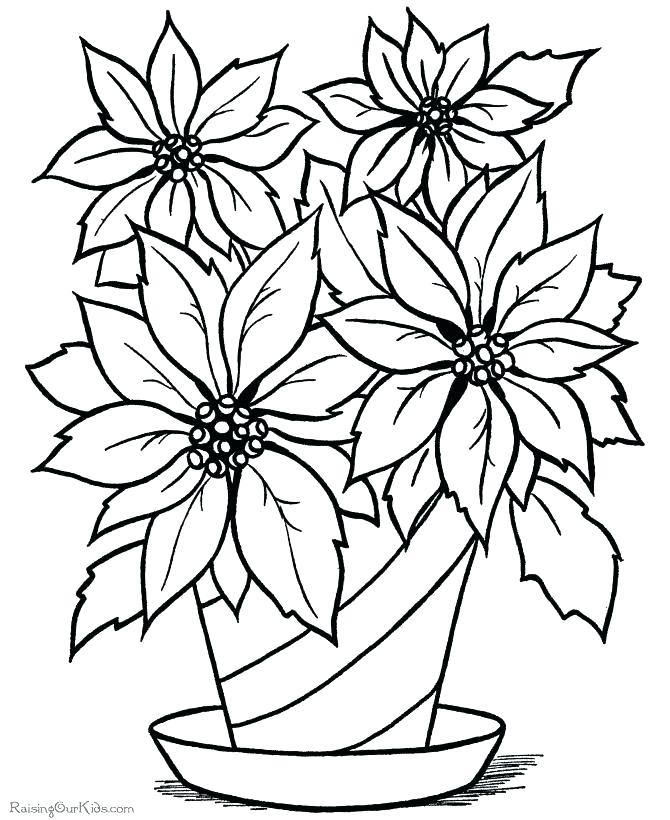 Exquisite Decoration Coloring Pages Of Flowers Flower Pot Coloring 670x820 Exquisite Decoration Coloring Pages Of Flowers Flower Pot Coloring