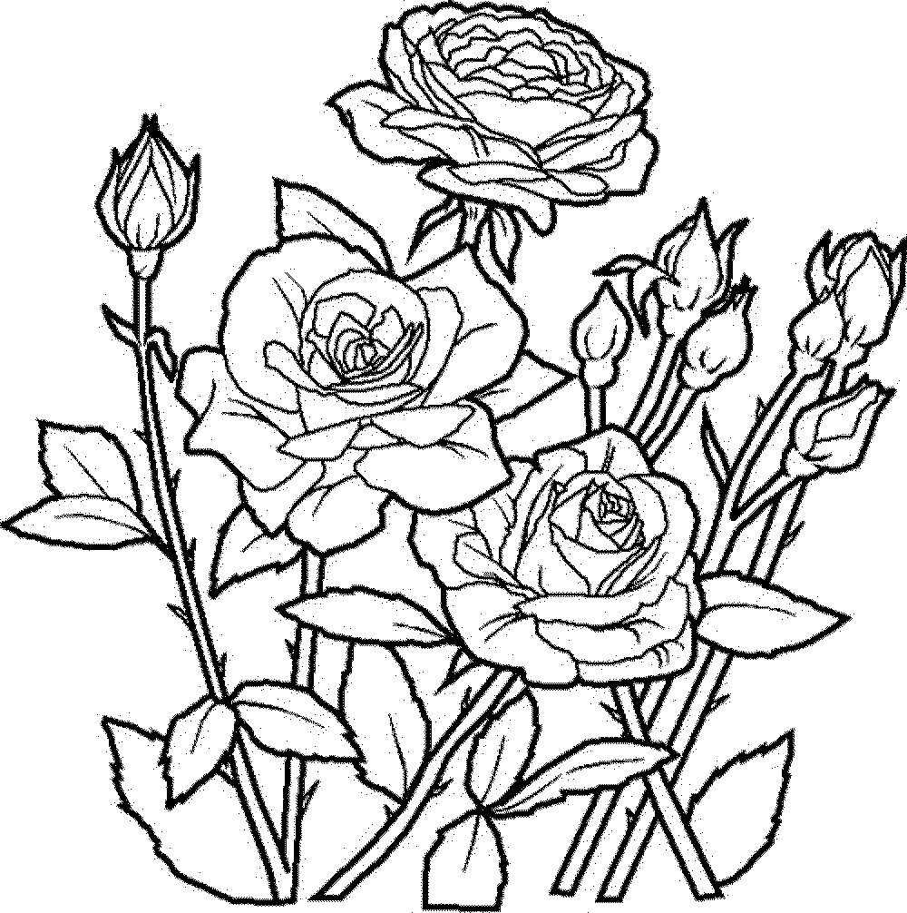 Flower Mandala Coloring Pages Bestappsforkids Com Prixducommerce 1000x1006 Flower Mandala Coloring Pages Bestappsforkids Com Prixducommerce