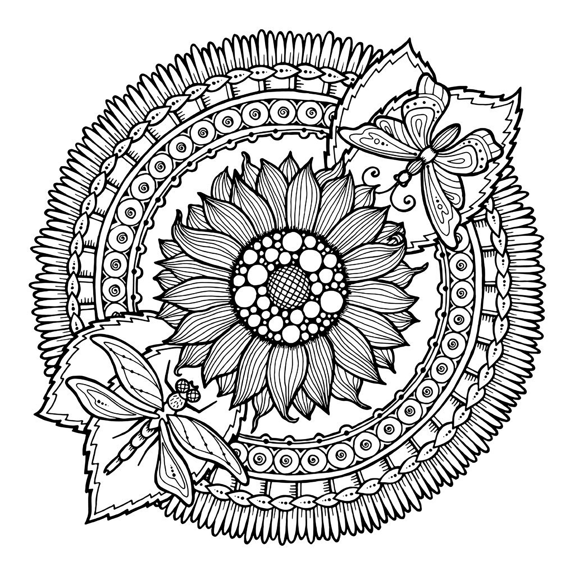 Mandala Dragonfly And Flowers 2000x2000 Mandala Dragonfly And Flowers