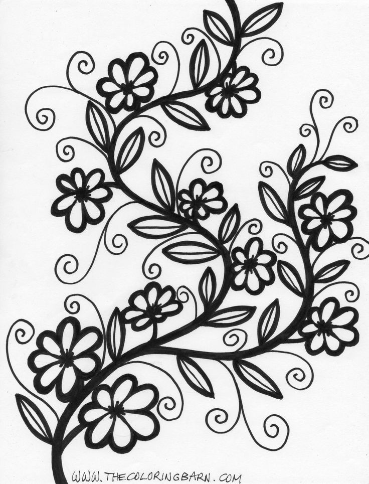 Printable Flower Patterns To Color 736x965 Printable Flower Patterns To Color