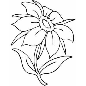 300x300 Flower With Seven Petals Coloring Page