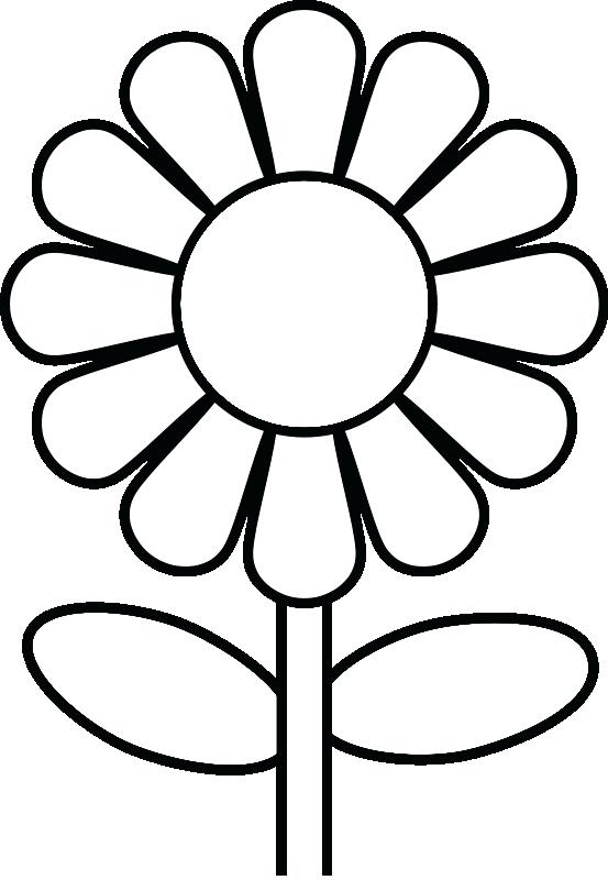 553x800 Large Flower Petal Template Printable Daisy Flower Coloring Pages