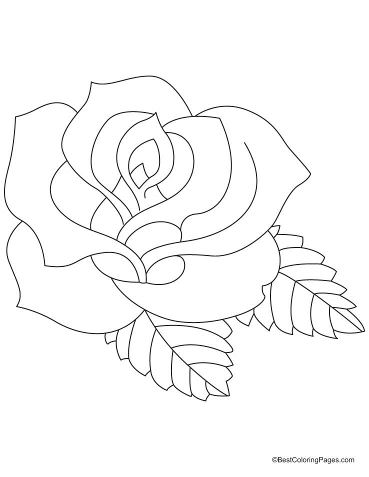 738x954 Rose Coloring Page