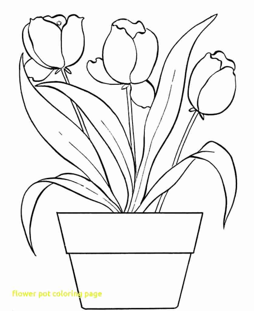 837x1024 Flower Pot Coloring Page With Perfect Decoration Throughout