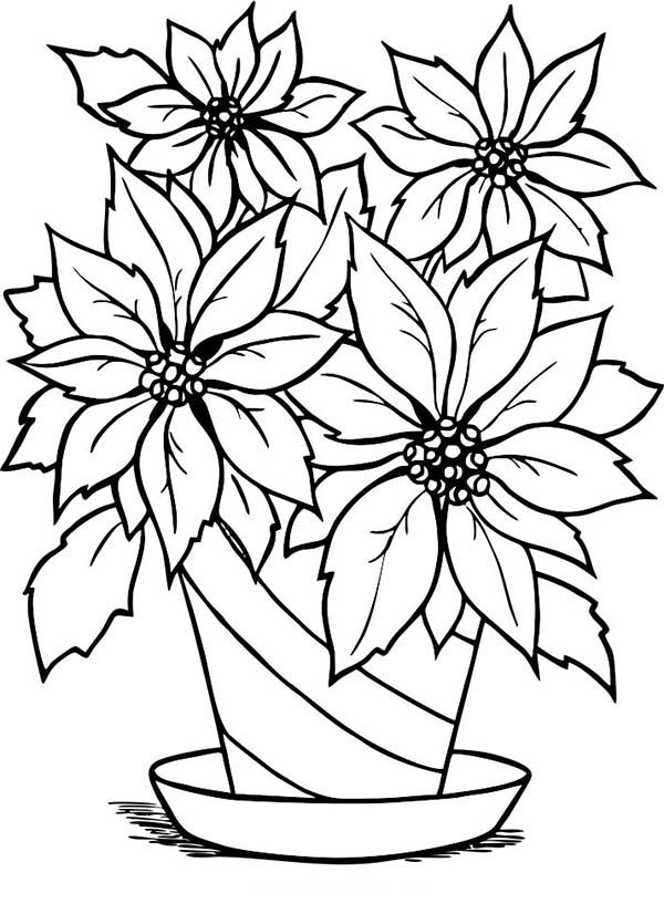 600x826 Charming Poinsettia Flower In Flowerpot Coloring Page