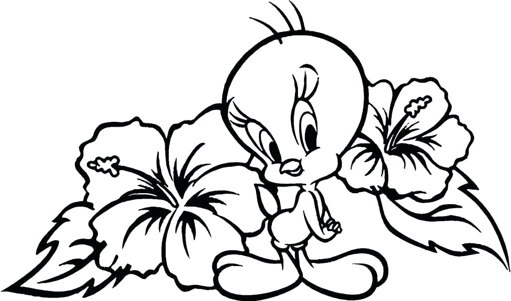 1024x603 Flower Coloring Pages Printable Printable Coloring Pages