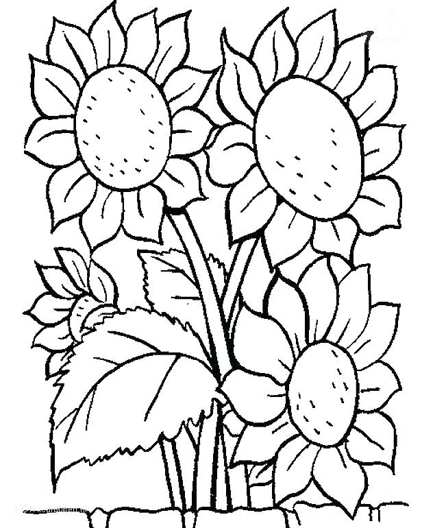 616x770 Printable Flower Coloring Pages Usedauto.club