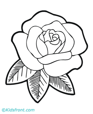 327x400 Flower Coloring Pages On Spring Flower Coloring Pages Collections