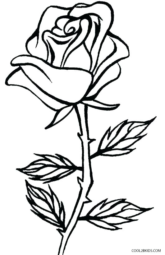 531x820 Heart And Roses Coloring Pages Free Coloring Printable Coloring