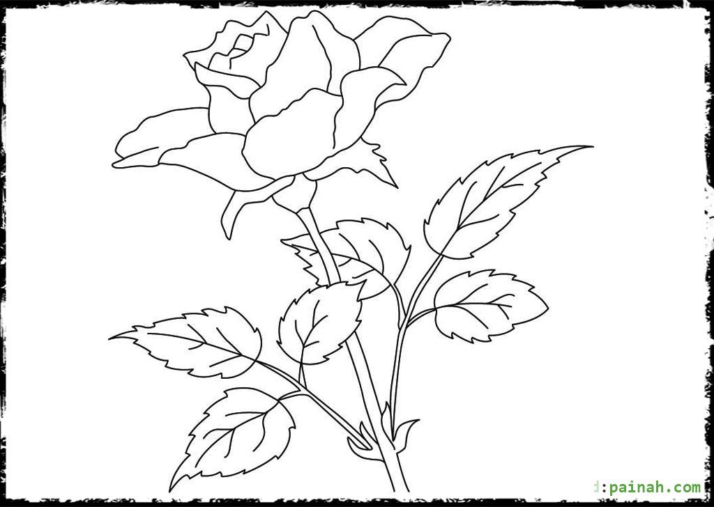 1024x728 Beautiful Flower Rose Coloring Pages Coloring Pages