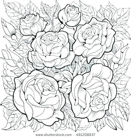 447x470 Roses Coloring Pages Printable Roses Coloring Pages Printable