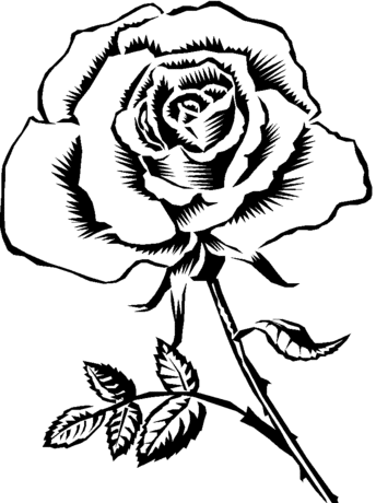 344x460 Best Rose Coloring Pages Free 2956 Printable