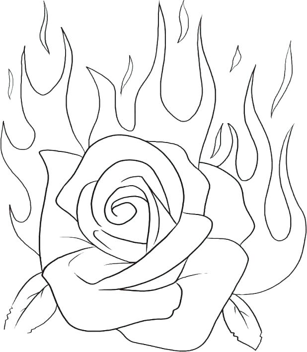 618x709 Coloring Pages Flowers Roses 0