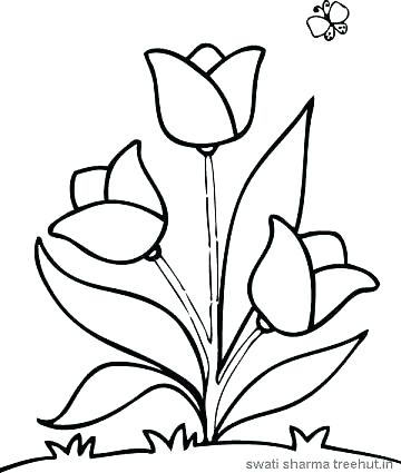 360x425 Elegant Free Flower Coloring Pages Or Easy Flower Coloring Pages