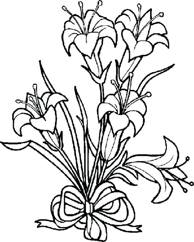 682x848 Luxury Flower Coloring Pages Pdf And Flower Coloring Pages 55 Free