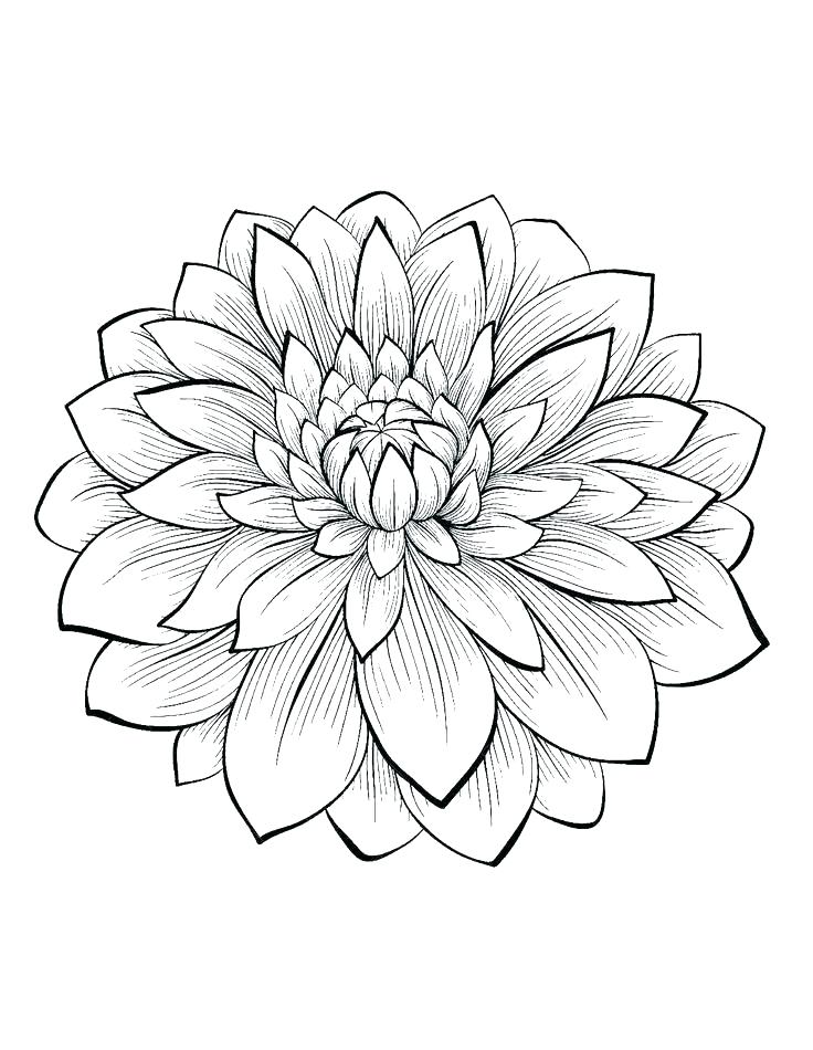 736x950 Simple Flower Coloring Pages Coloring Pages Simple Flowers Flower