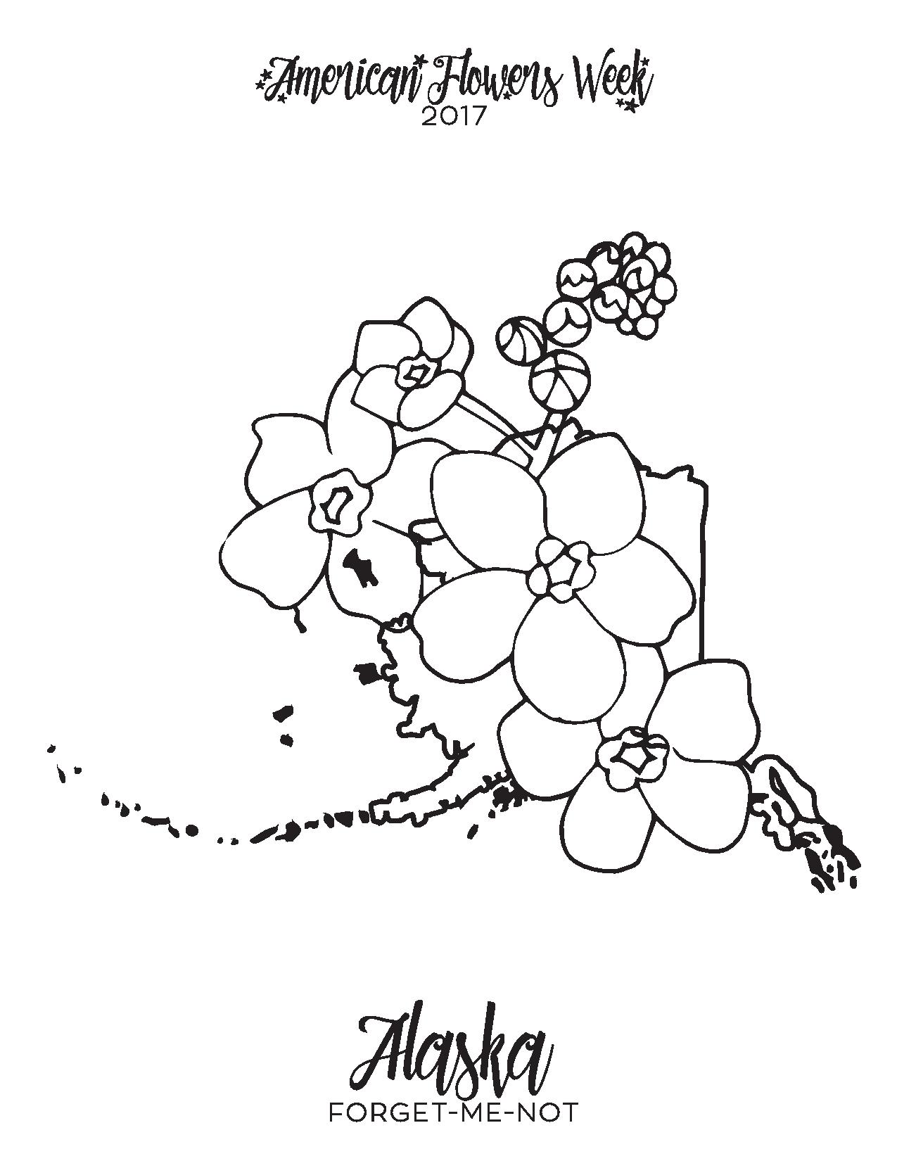 1275x1650 50 State Flowers Free Coloring Pages American Flowers Week