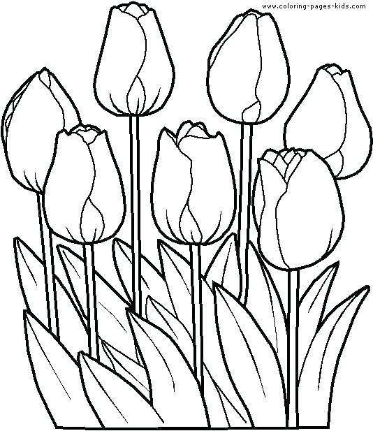 534x617 Free Flower Coloring Pages Pdf