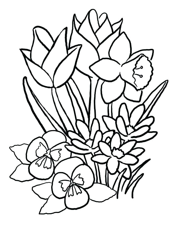 687x884 Coloring Pages Of A Flower Flower Color Page Best Flower Coloring