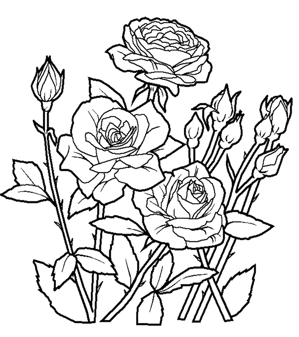 Birds and flowers coloring pages at getcolorings free printable