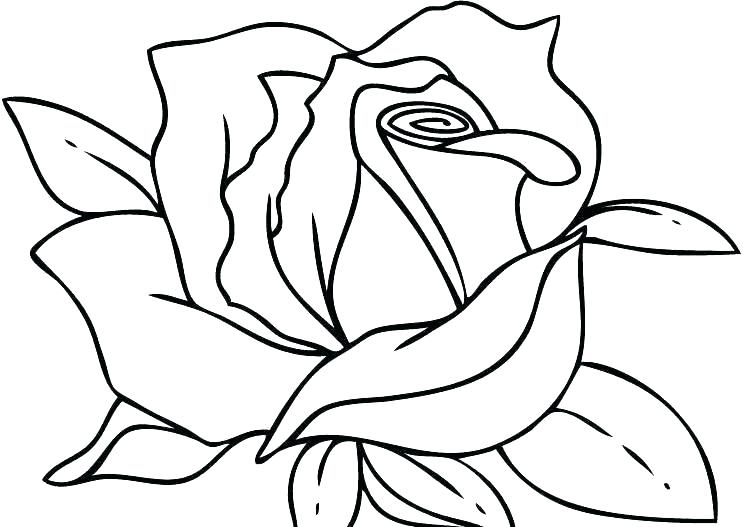 743x527 Rose Coloring Pages Heart And Roses Coloring Pages Adult Rose Rose
