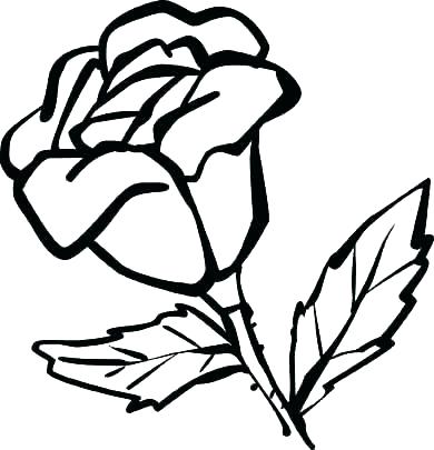 390x405 Rose Flower Coloring Pages Amazing Rose Flower Coloring Pages Rose