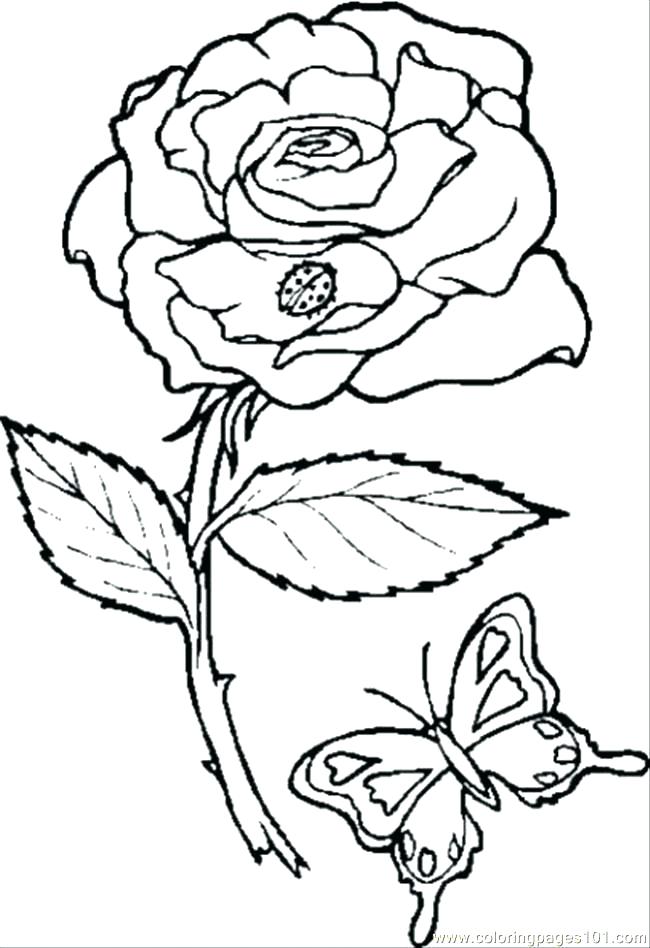 650x948 Rose Flower Coloring Pages Coloring Pages Rose Flowers Coloring