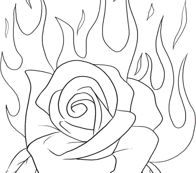 678x600 Rose Flower Coloring Pages Flowers Coloring Pages Rose Flower