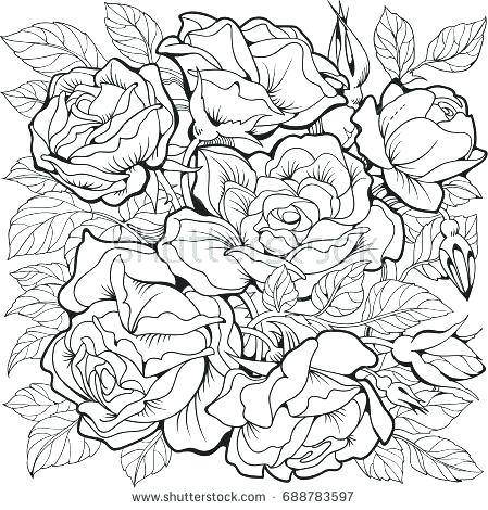 449x470 Rose Flower Coloring Pages Plus Flowers Coloring Pages Rose