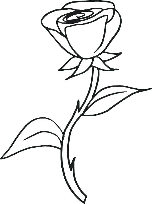 535x716 Roses Coloring Pages Printable Coloring Pages Kids Flowers