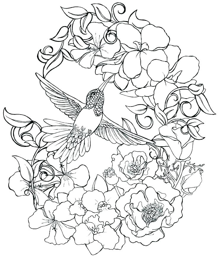 Realistic Flower Coloring Pages Free Printable Realistic Flower 736x866 Realistic Flower Coloring Pages Free Printable Realistic Flower