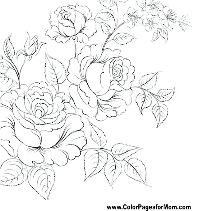 Flower Coloring Pages For Adults 640x676 Flower Coloring Pages For Adults