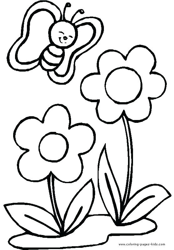 Small Flower Coloring Pages 556x800 Small Flower Coloring Pages