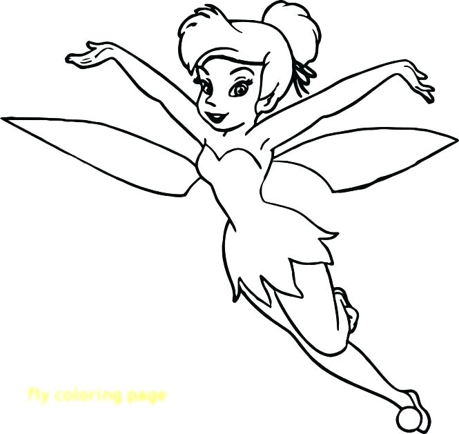 Fly Coloring Page Super And Fly Coloring Page S Free Printable 665x629 Fly Coloring Page Super And Fly Coloring Page S Free Printable