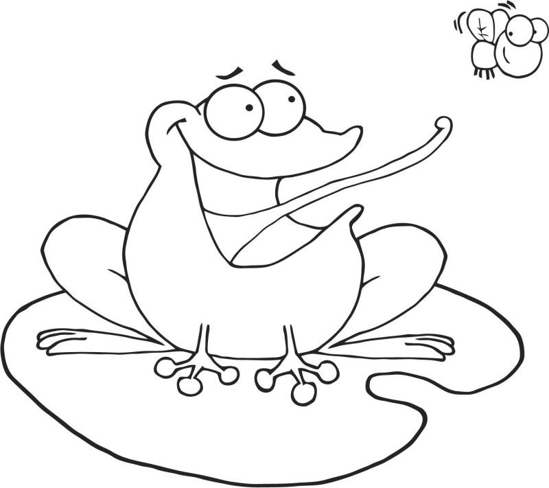 Frog Cacthing Fly Coloring Page 800x711 Frog Cacthing Fly Coloring Page