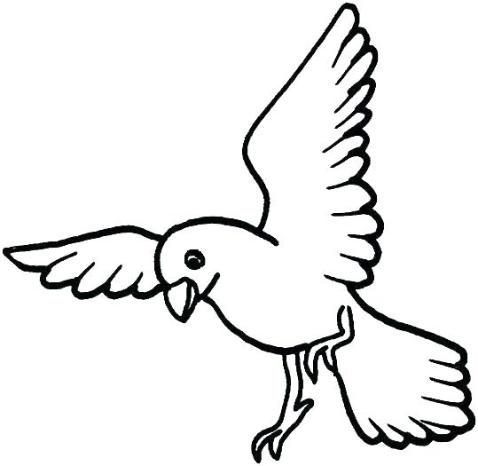 Bird Flying Coloring Page Impair.co 539x525 Bird Flying Coloring Page Impair.co