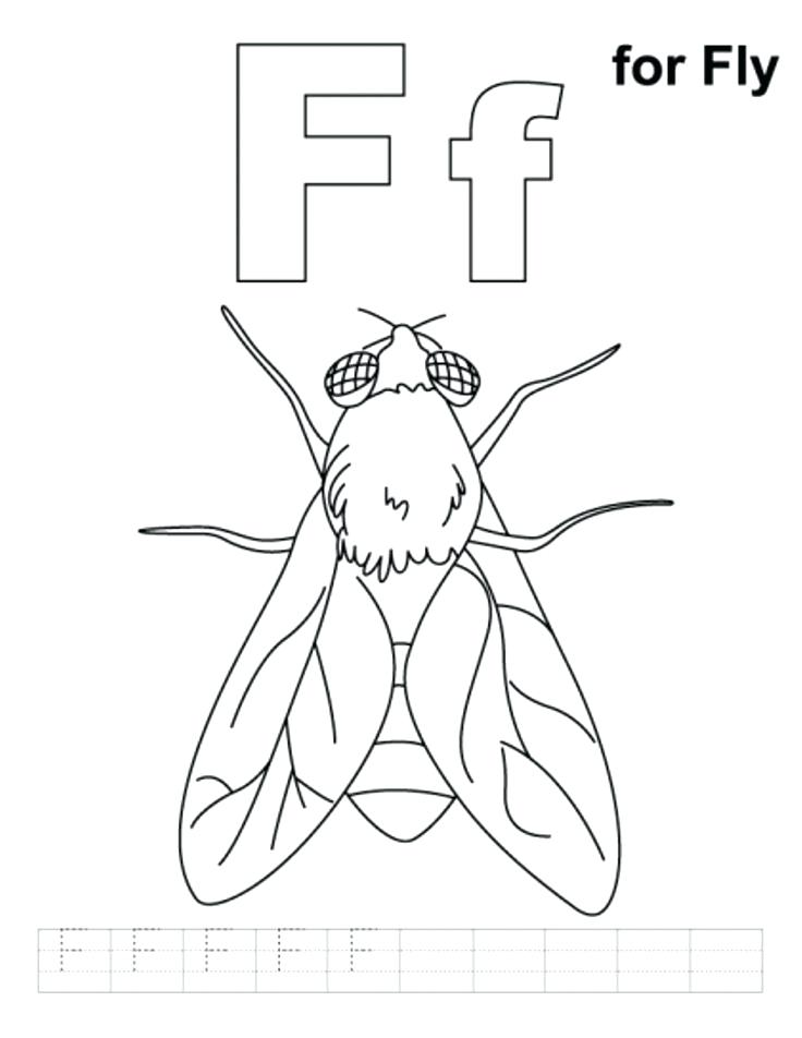 736x952 Fly Coloring Page F For Fly Alphabet Coloring Pages Free Free Fly