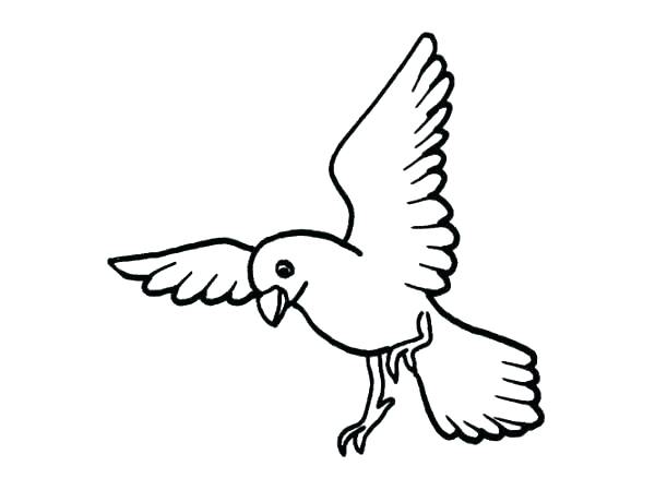 600x460 Coloring Page Bird Free Coloring Pages Of Birds Free Printable