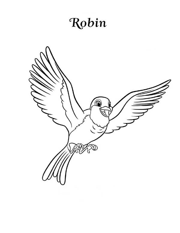 600x776 Happy Robin Bird Coloring Page