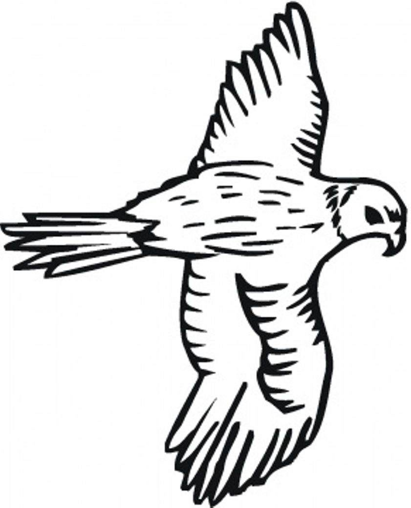 841x1040 Bird To Color Bird Coloring Pages Free Falcon Applique