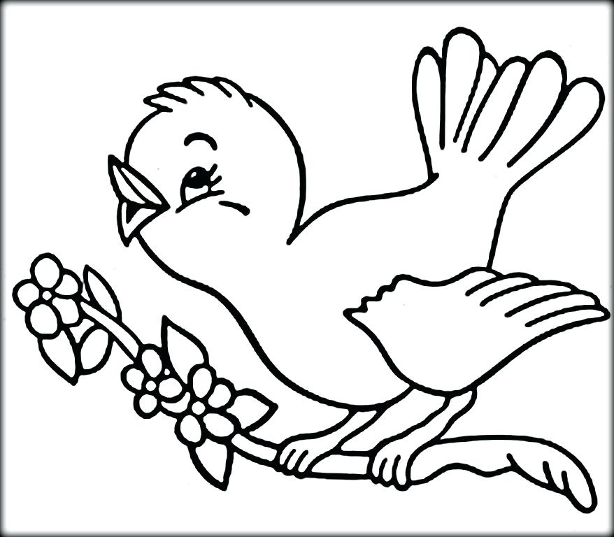 878x768 Bird Coloring Pages Free Birds Coloring Pages Birds Woodpecker