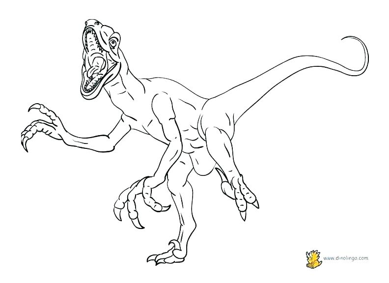 Pterodactyl Coloring Page Flying Reptile Coloring Page Coloring 792x576 Pterodactyl Coloring Page Flying Reptile Coloring Page Coloring