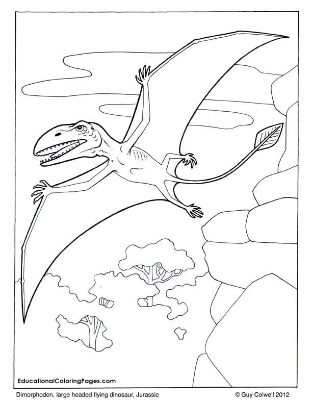 Zoology Flying Dimorphodon Coloring, Flying Dinosaur Coloring 612x792 Zoology Flying Dimorphodon Coloring, Flying Dinosaur Coloring