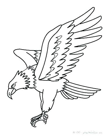 364x470 Coloring Pages Of Eagles Eagle Coloring Book Plus Eagle Color Page