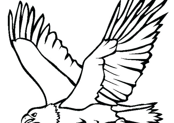 600x425 Eagle Coloring Page Bald Eagle Coloring Pages X A A Previous Image