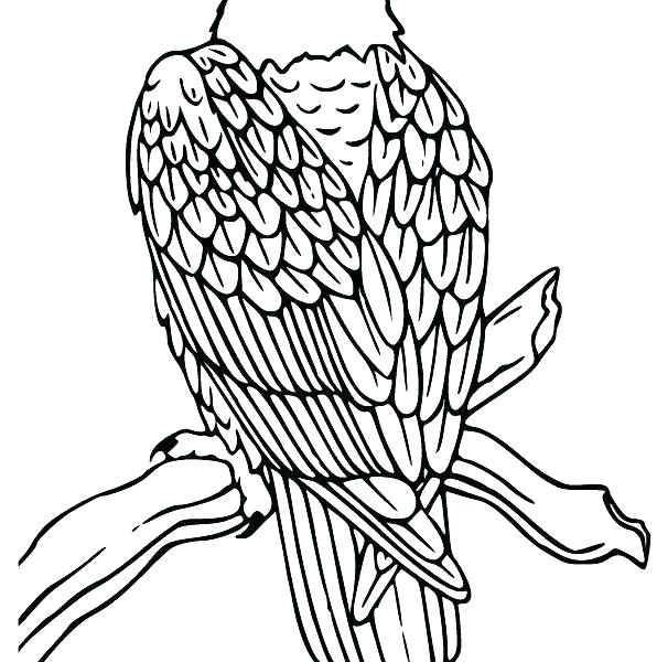 Flying Eagle Coloring Page at GetColorings.com | Free printable