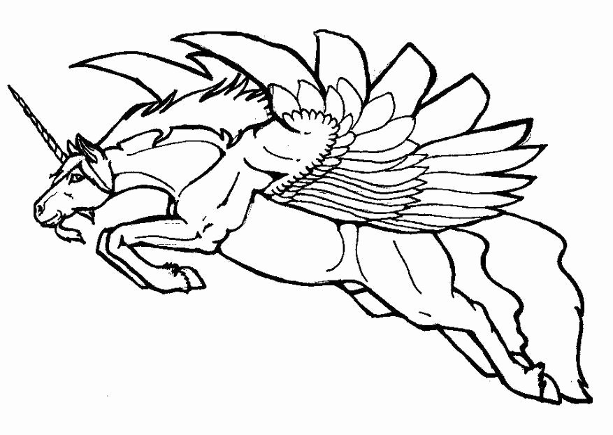 Flying Fairy Coloring Pages Images Coloring Page Flying Unicorn 877x622 Flying Fairy Coloring Pages Images Coloring Page Flying Unicorn